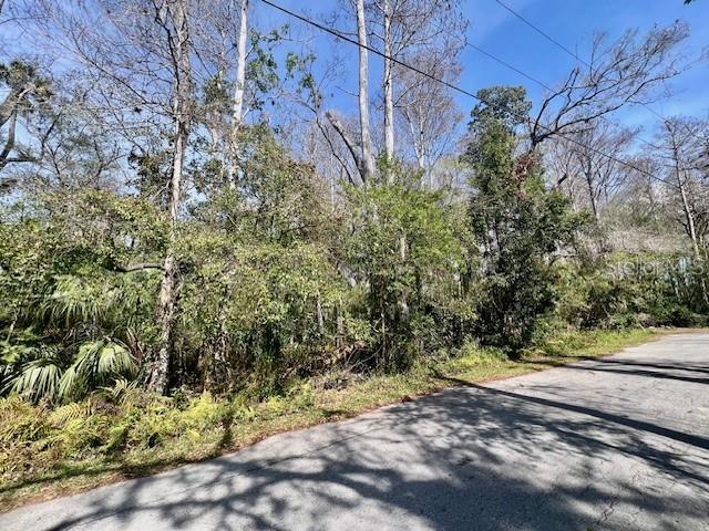 0 SOUTHWOOD CT, NEW PORT RICHEY, FL — photo 10