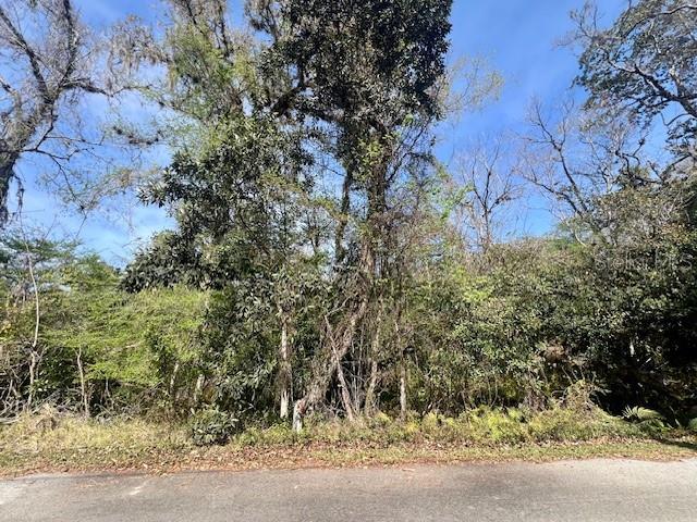 0 SOUTHWOOD CT, NEW PORT RICHEY, FL — photo 13