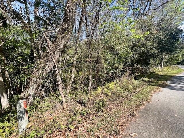 0 SOUTHWOOD CT, NEW PORT RICHEY, FL — photo 15