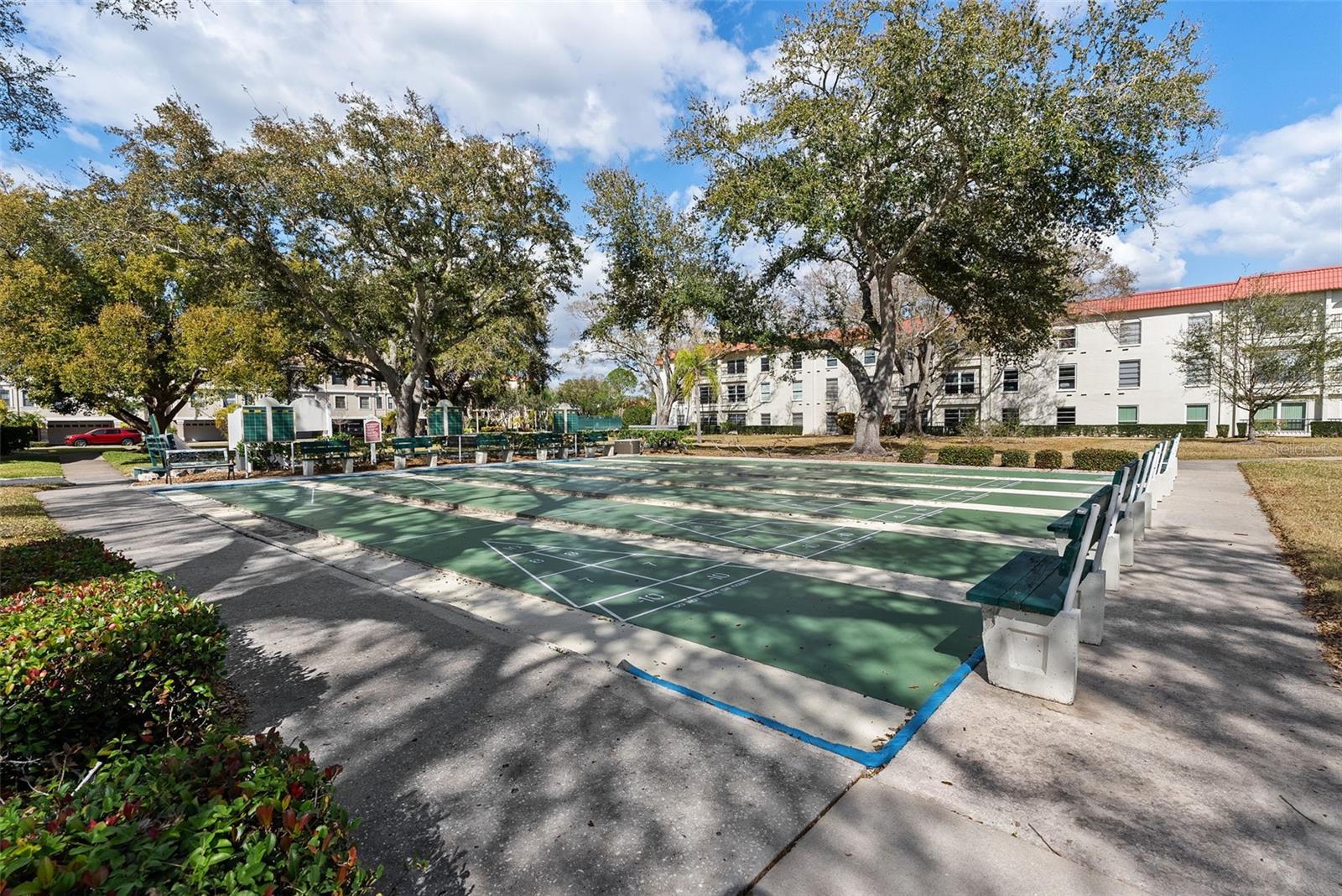 2700 BAYSHORE BLVD #4106, DUNEDIN, FL — photo 50