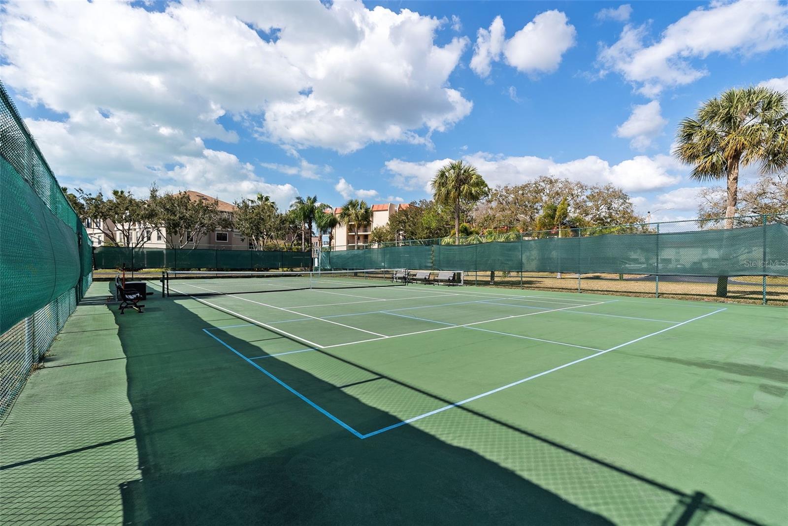 2700 BAYSHORE BLVD #4106, DUNEDIN, FL — photo 51