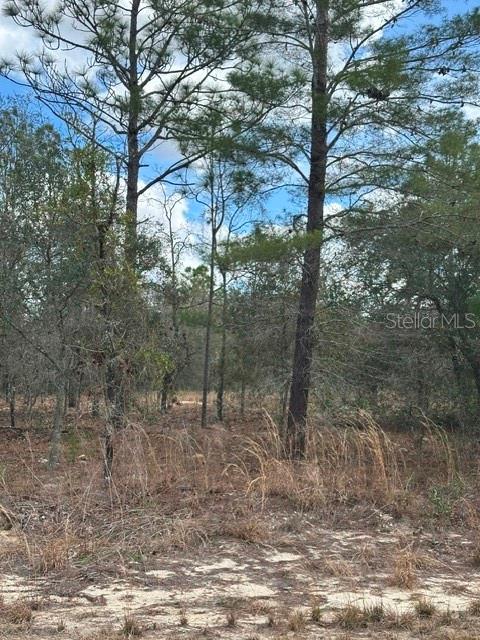, DUNNELLON, FL — photo 11