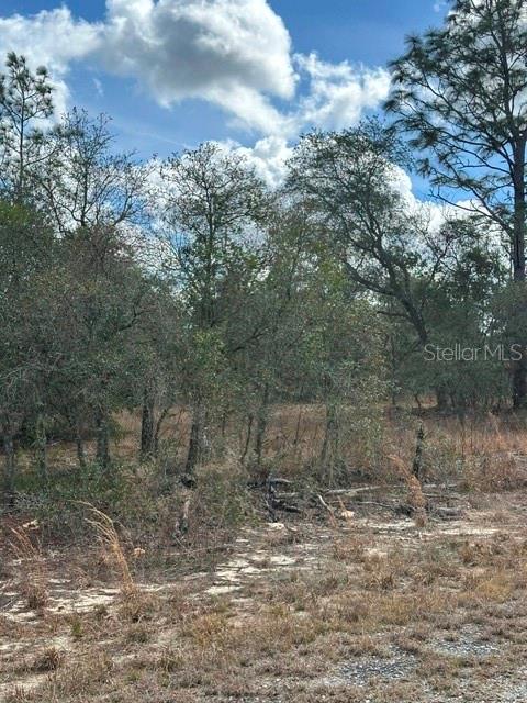 , DUNNELLON, FL — photo 14