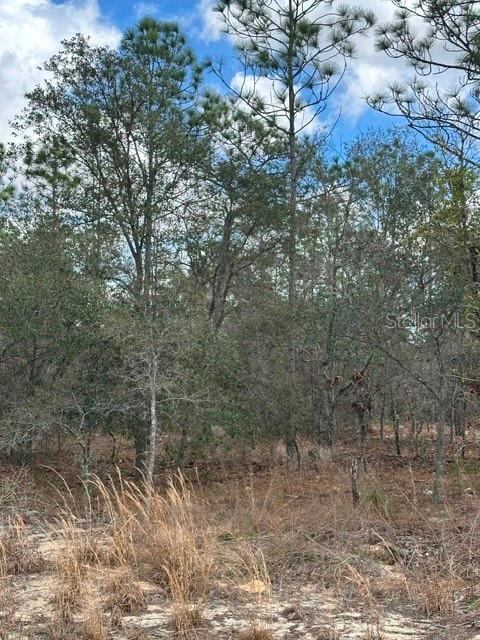 , DUNNELLON, FL — photo 15