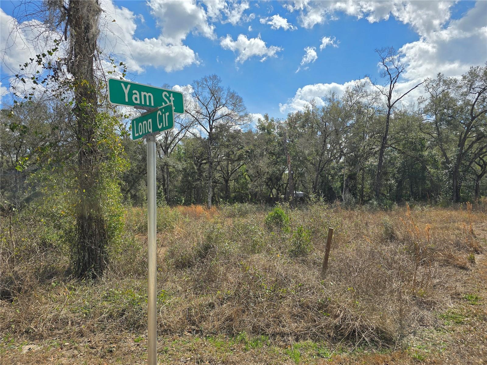 6436 YAM ST, WEBSTER, FL — photo 2