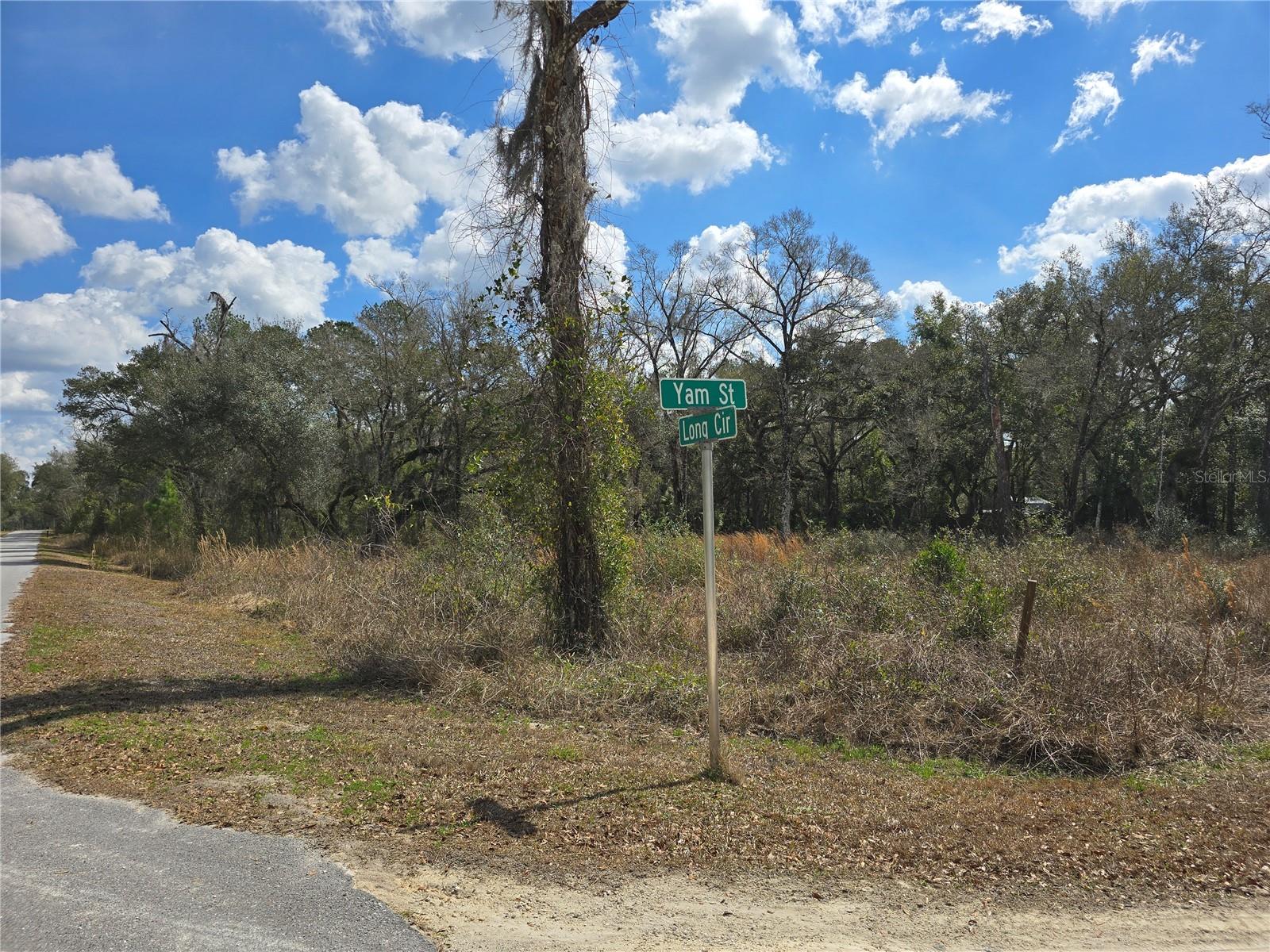 6436 YAM ST, WEBSTER, FL — photo 3