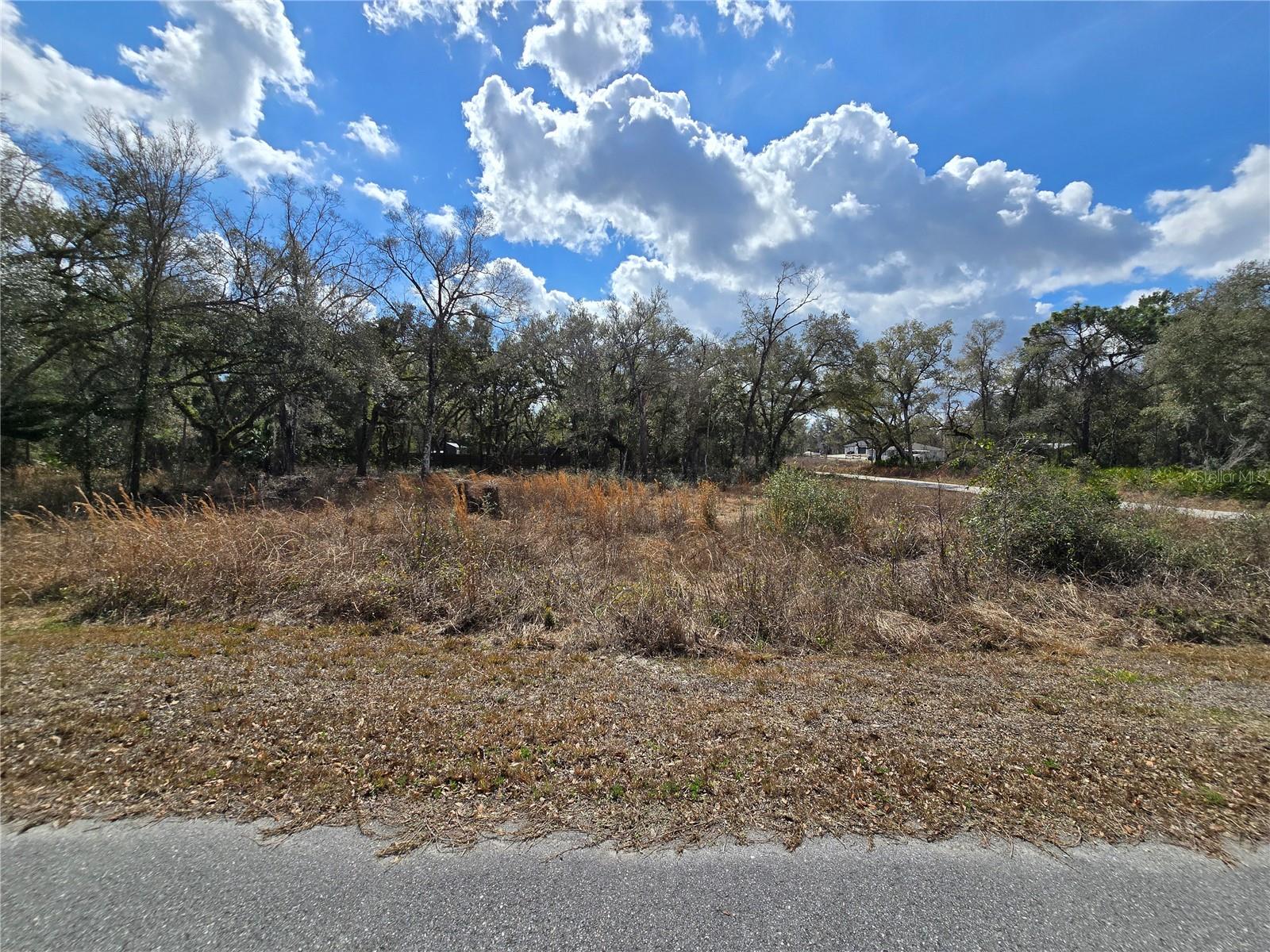 6436 YAM ST, WEBSTER, FL — photo 4