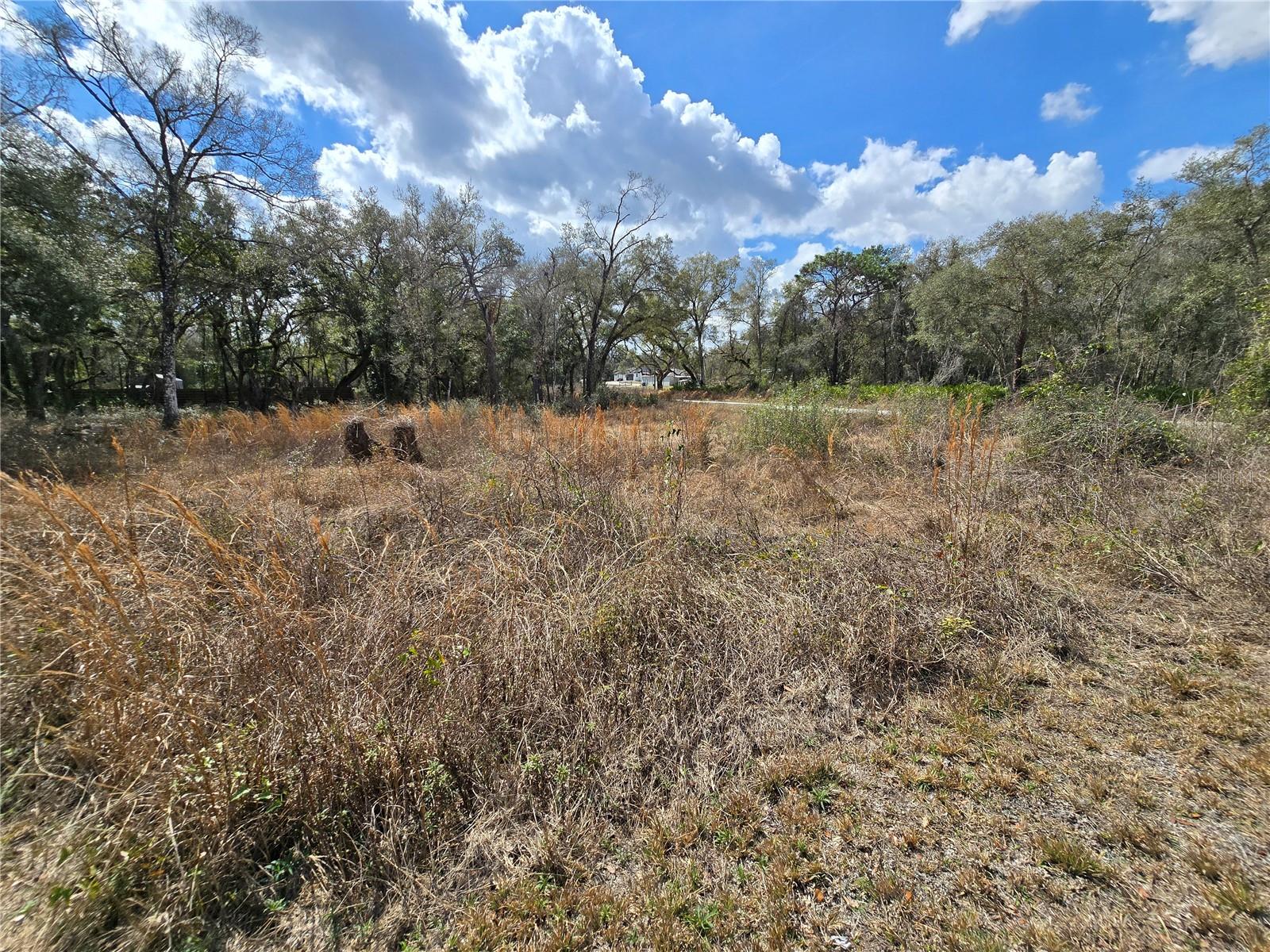6436 YAM ST, WEBSTER, FL — photo 5