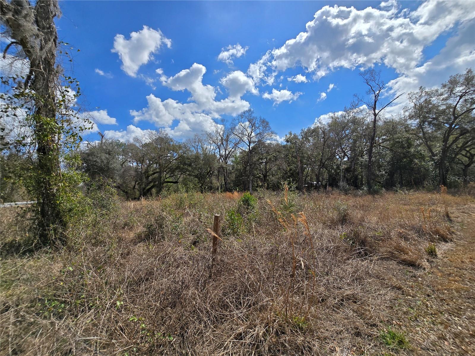 6436 YAM ST, WEBSTER, FL — photo 8