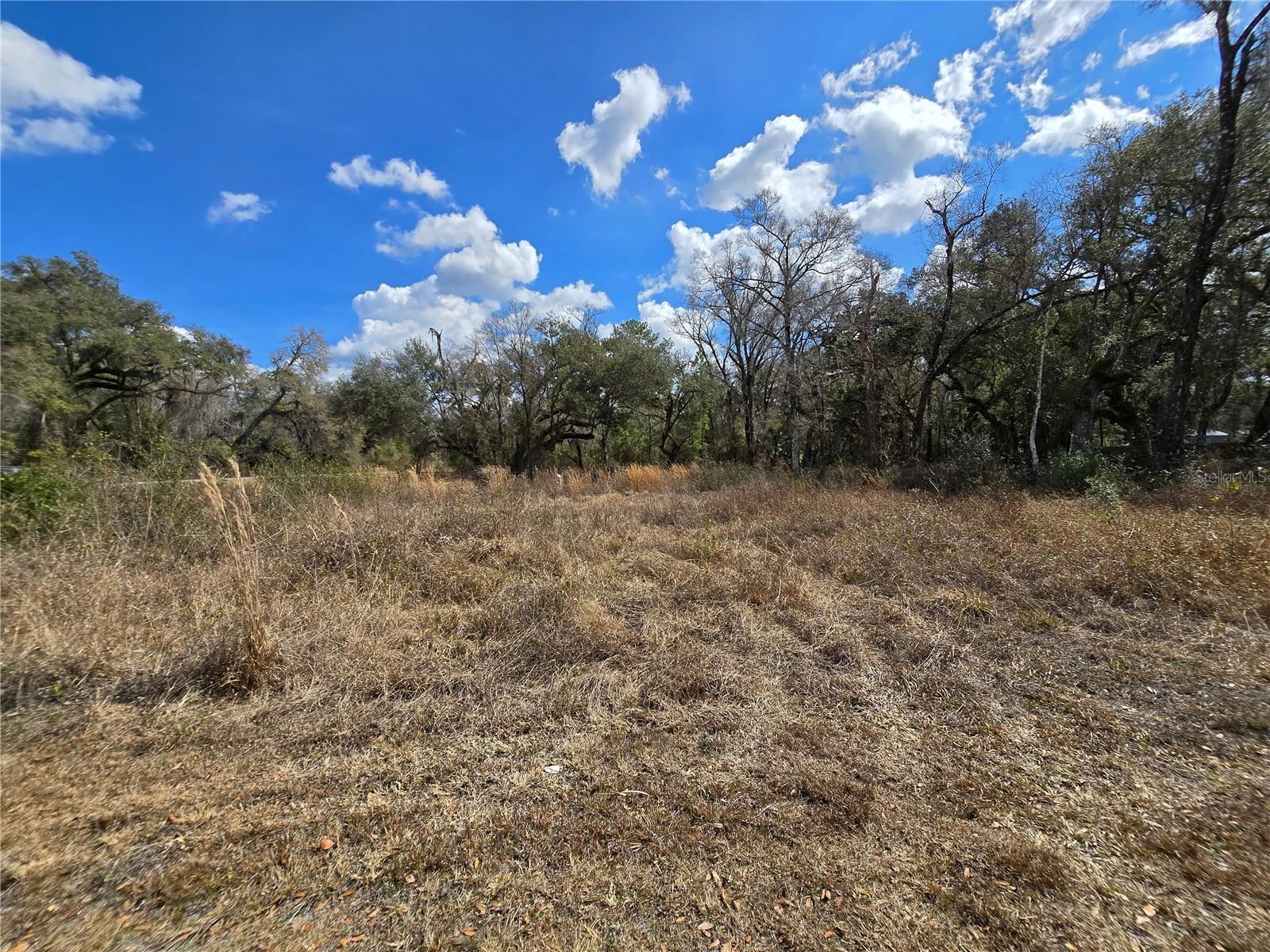 6436 YAM ST, WEBSTER, FL — photo 10