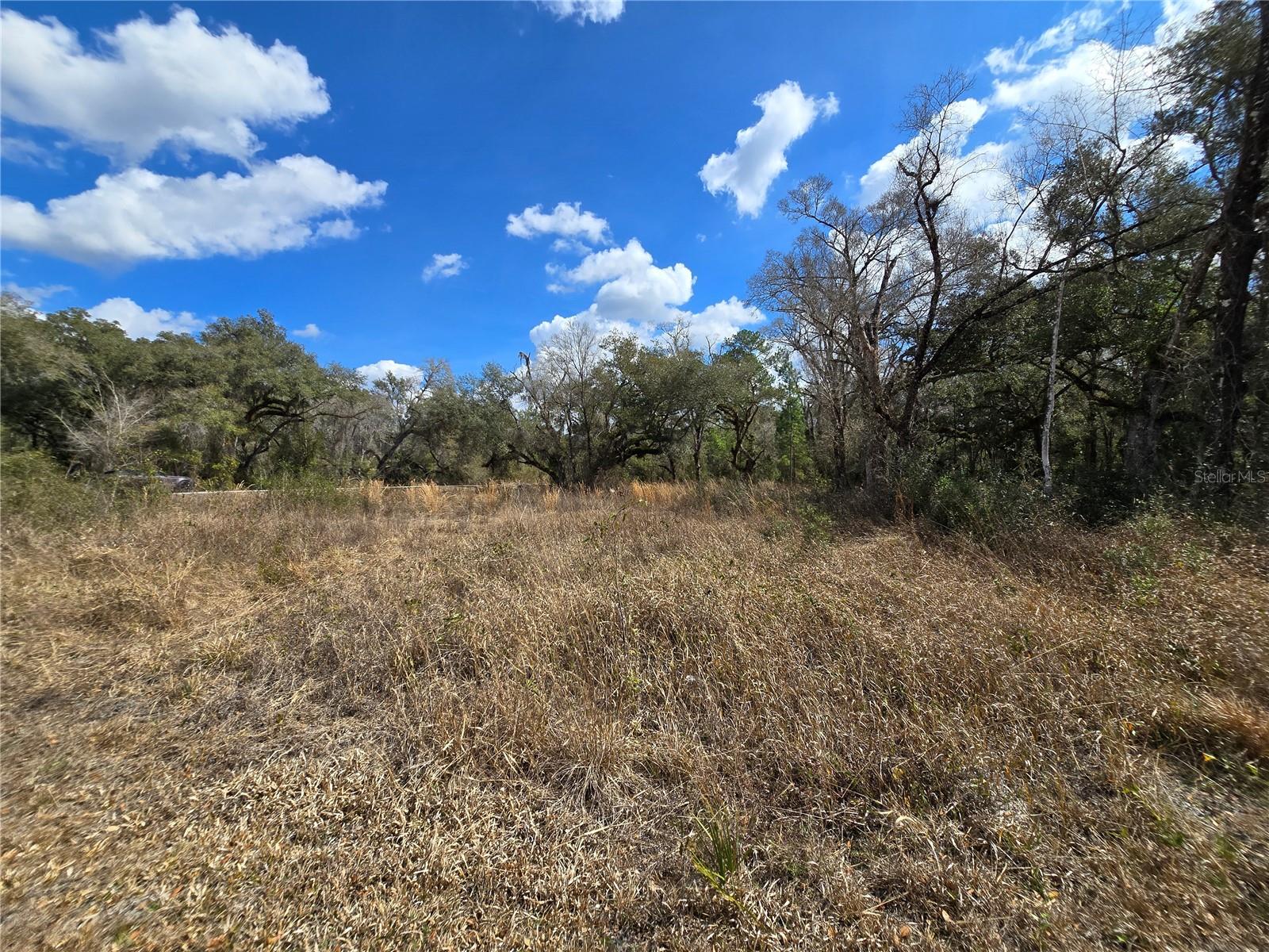 6436 YAM ST, WEBSTER, FL — photo 11