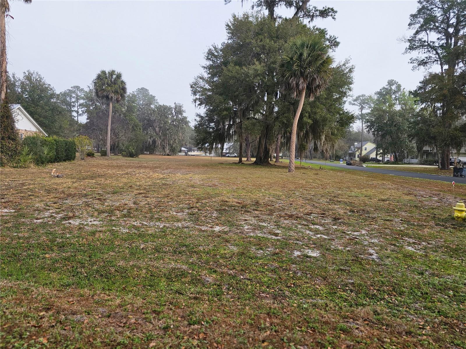 000 MOUNT ROYAL AVE, CRESCENT CITY, FL — photo 3