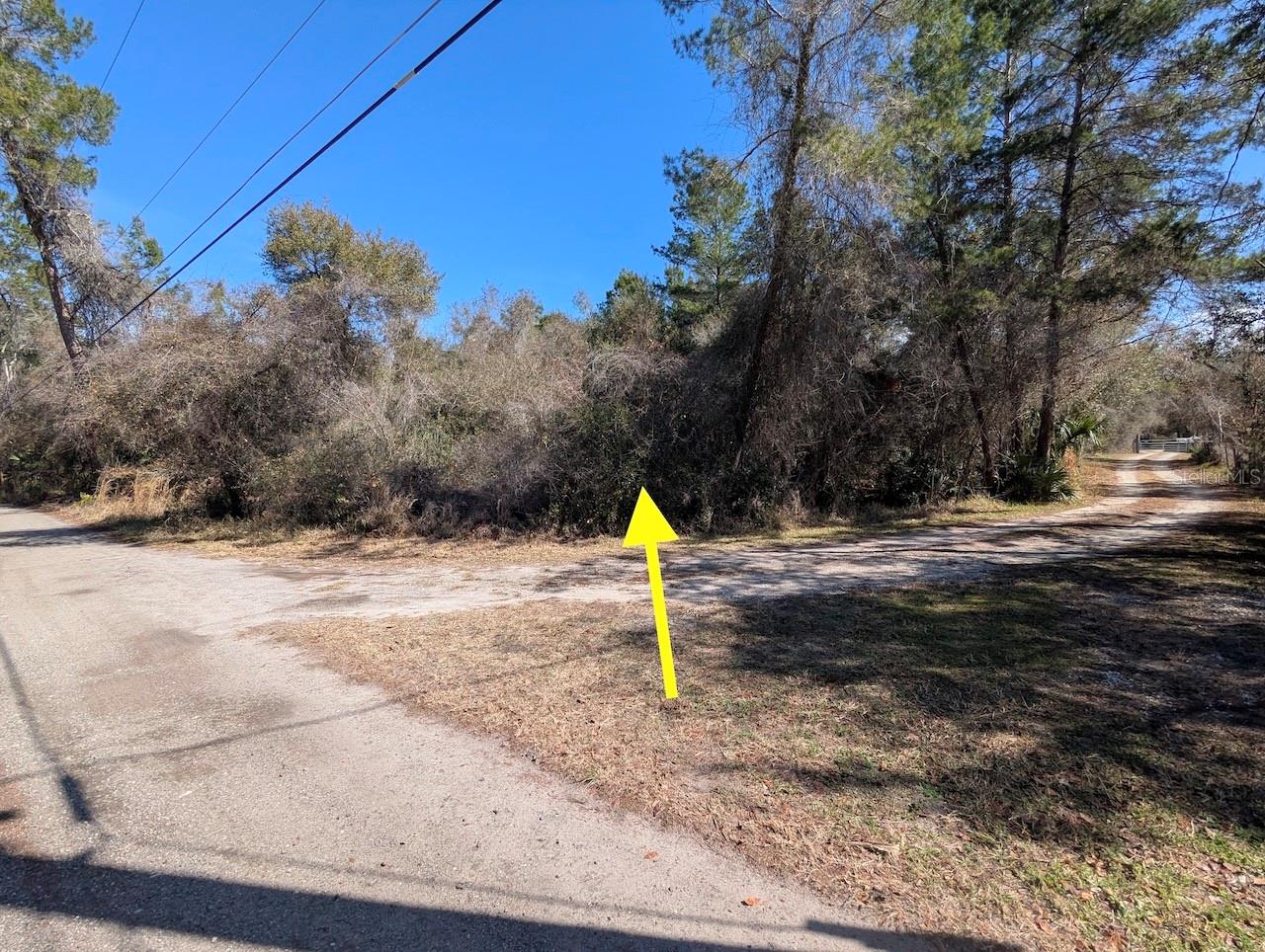 COCHRAN RD, GENEVA, FL — photo 19