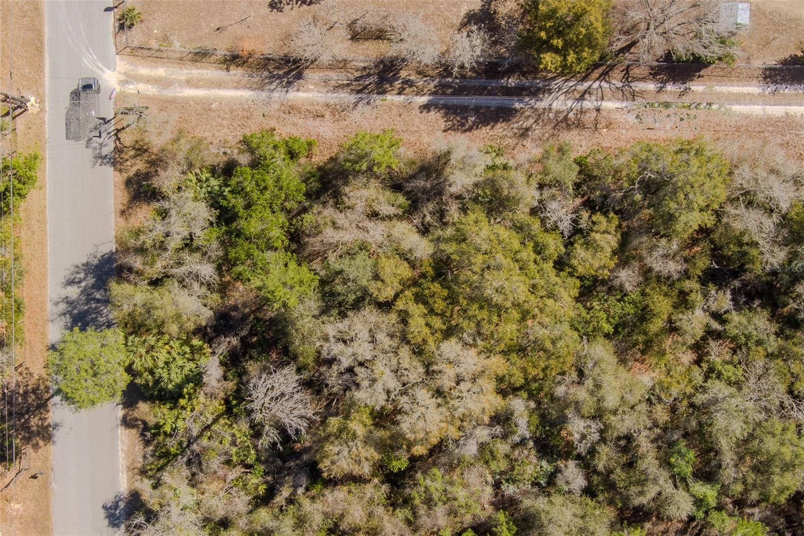 COCHRAN RD, GENEVA, FL — photo 27