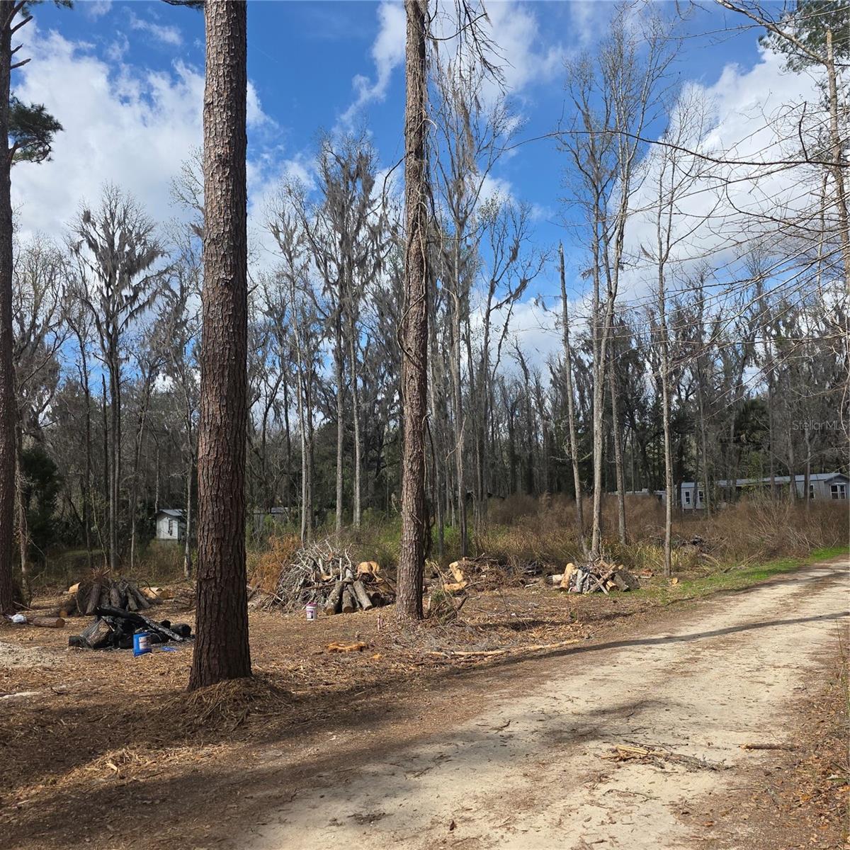 SW 11TH STREET RD, OCALA, FL — photo 4
