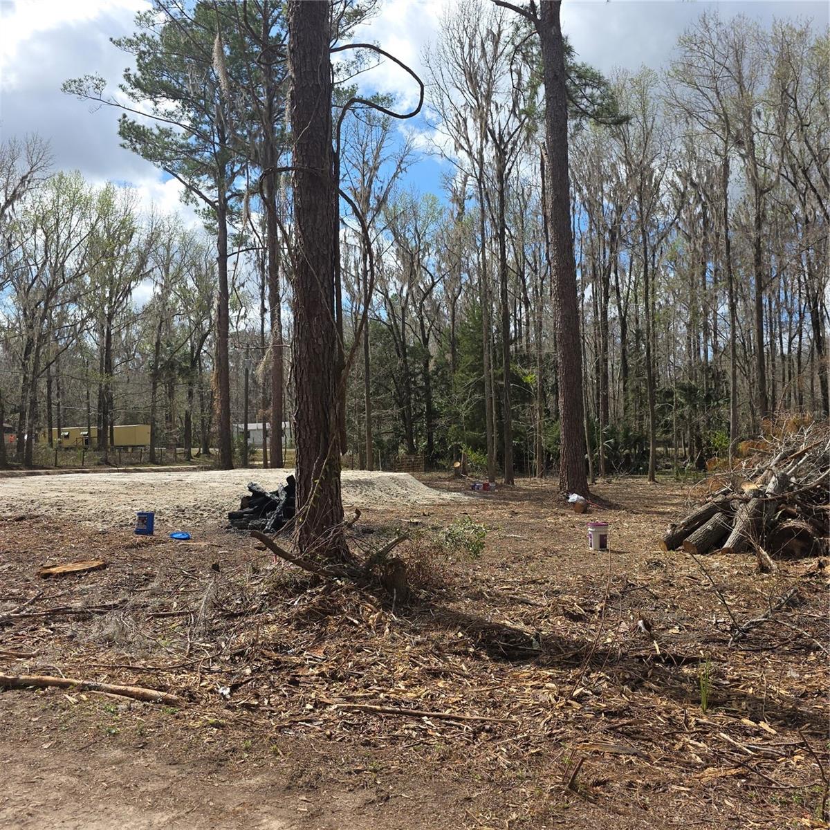 SW 11TH STREET RD, OCALA, FL — photo 5