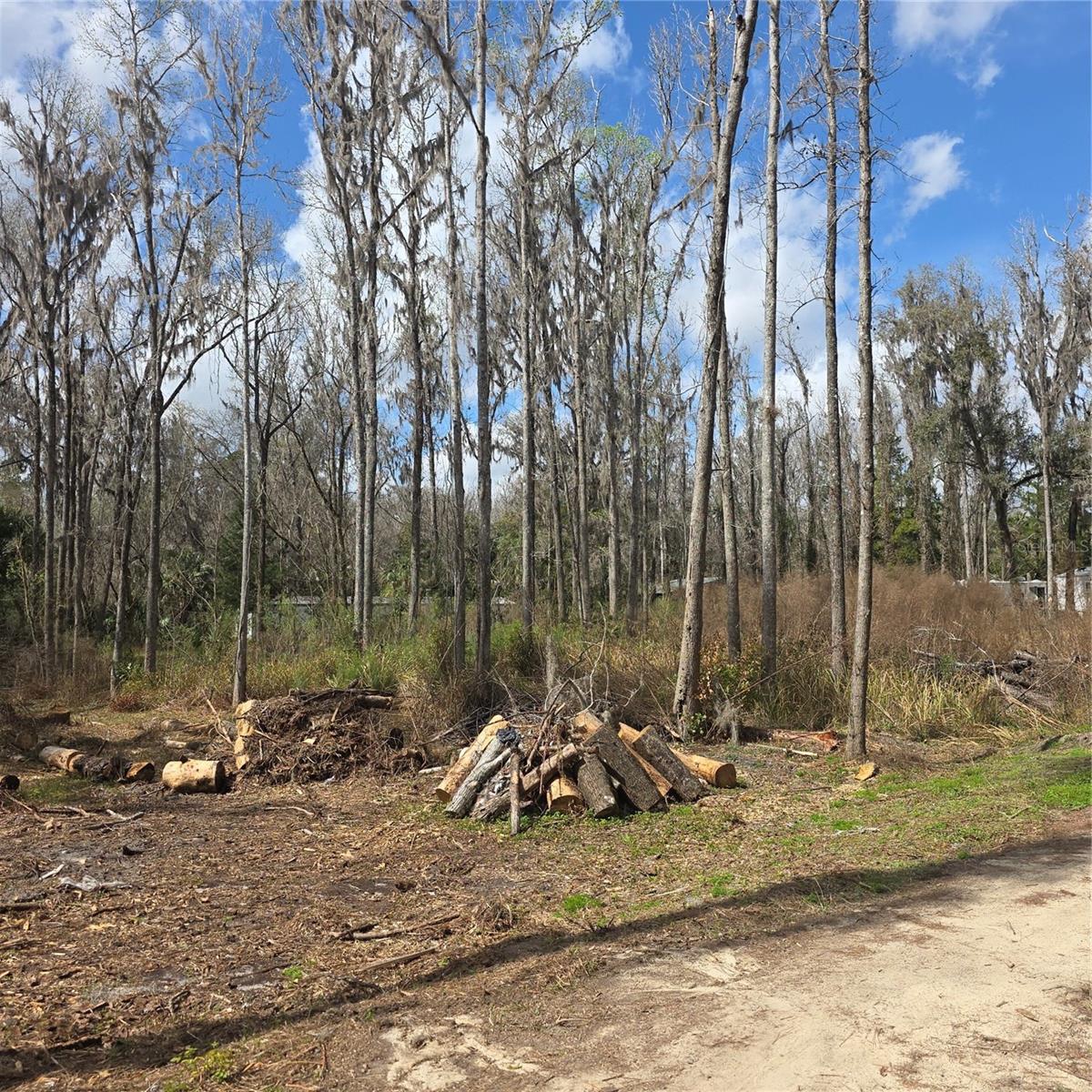 SW 11TH STREET RD, OCALA, FL — photo 6
