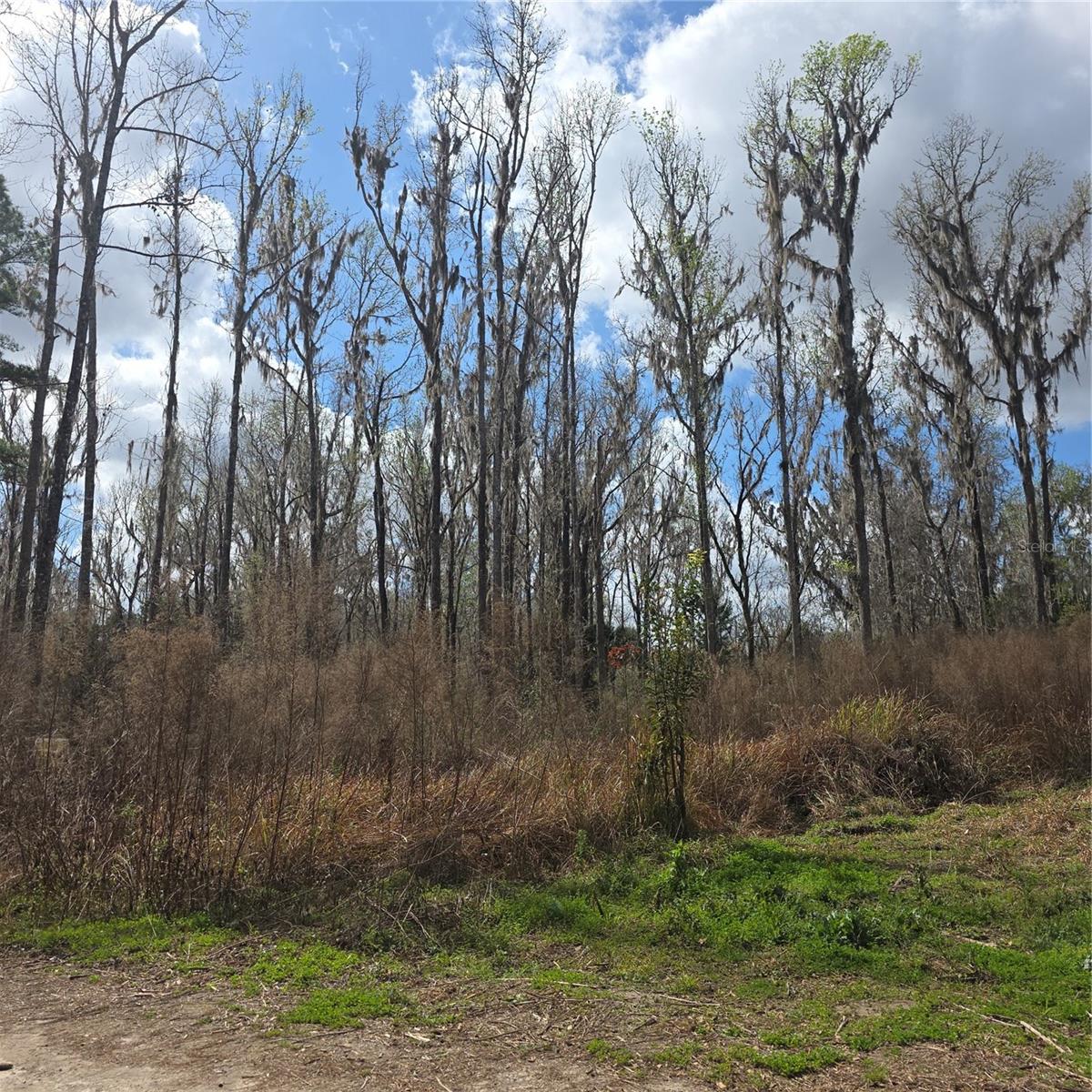 SW 11TH STREET RD, OCALA, FL — photo 7