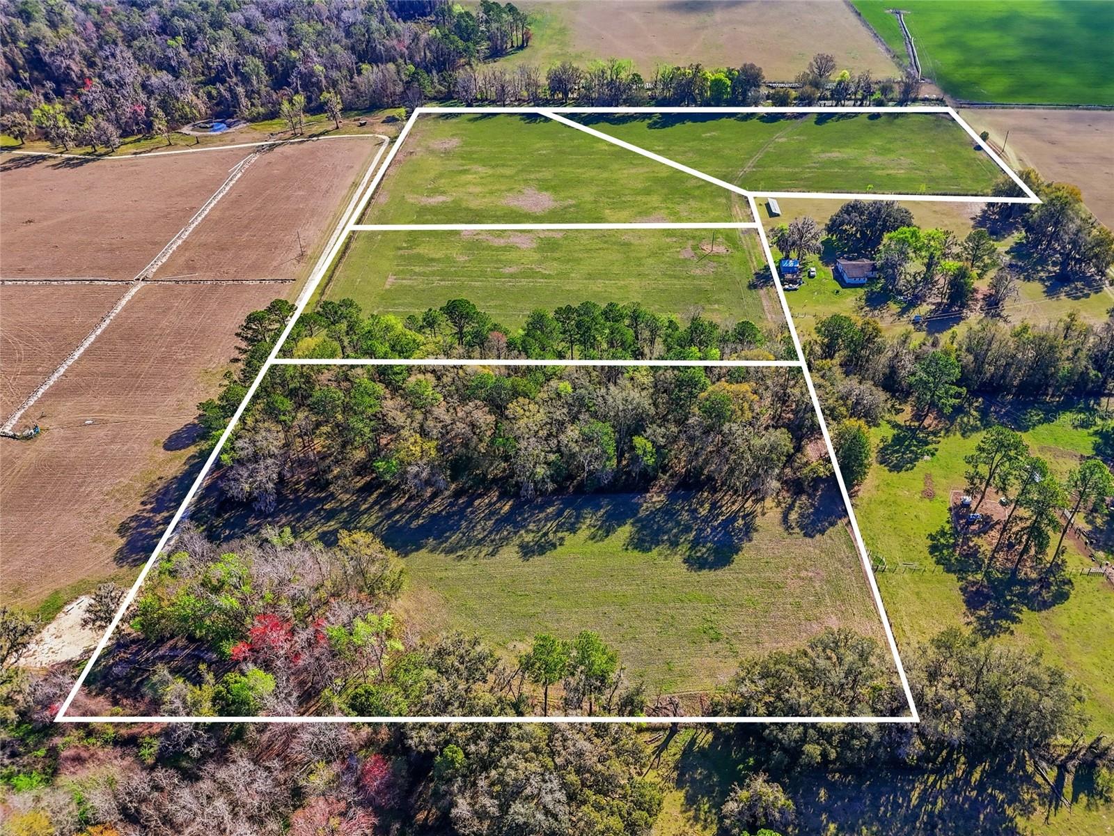 TBD NW COUNTY ROAD 239, ALACHUA, FL — photo 11