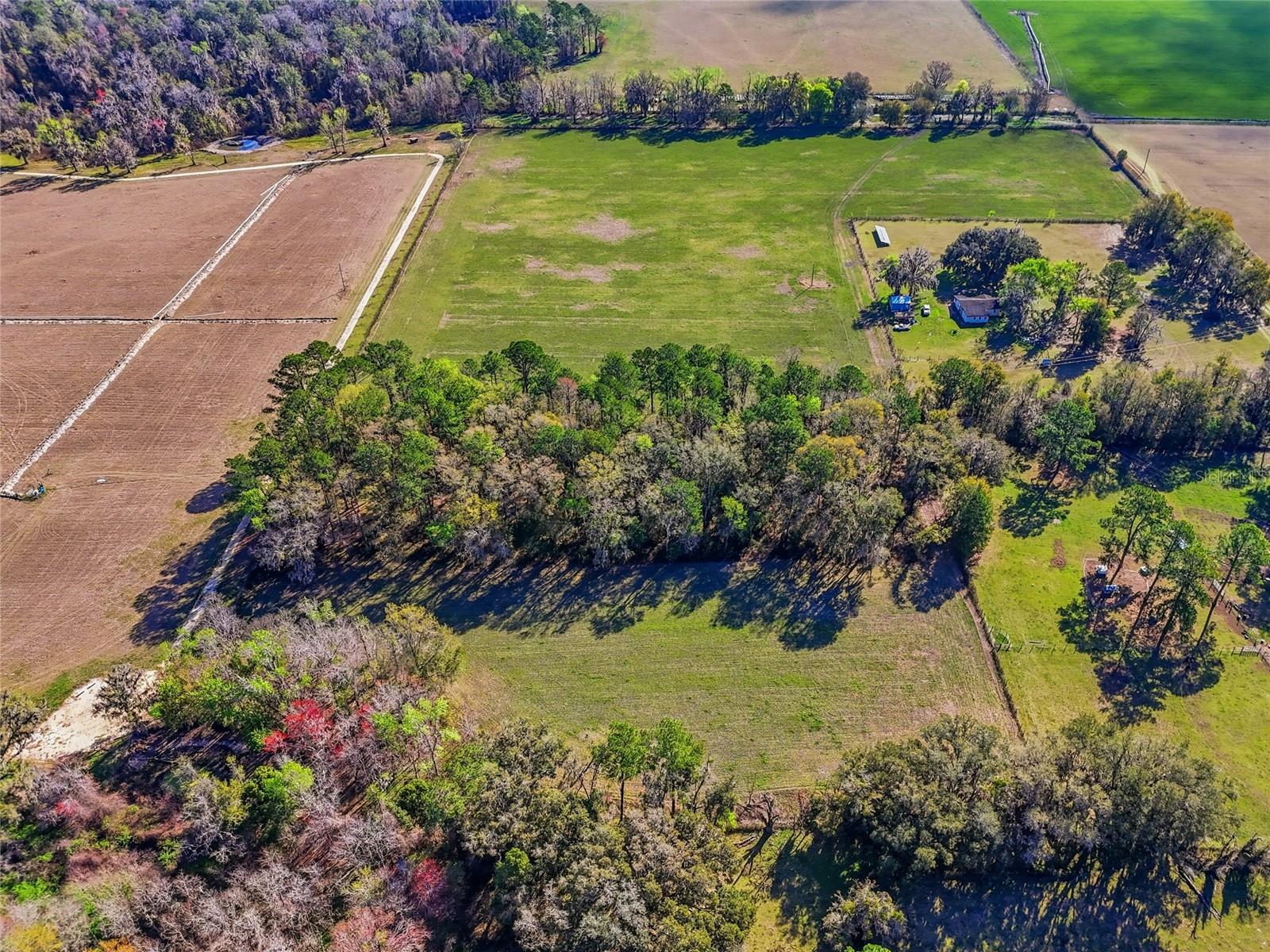 TBD NW COUNTY ROAD 239, ALACHUA, FL — photo 12