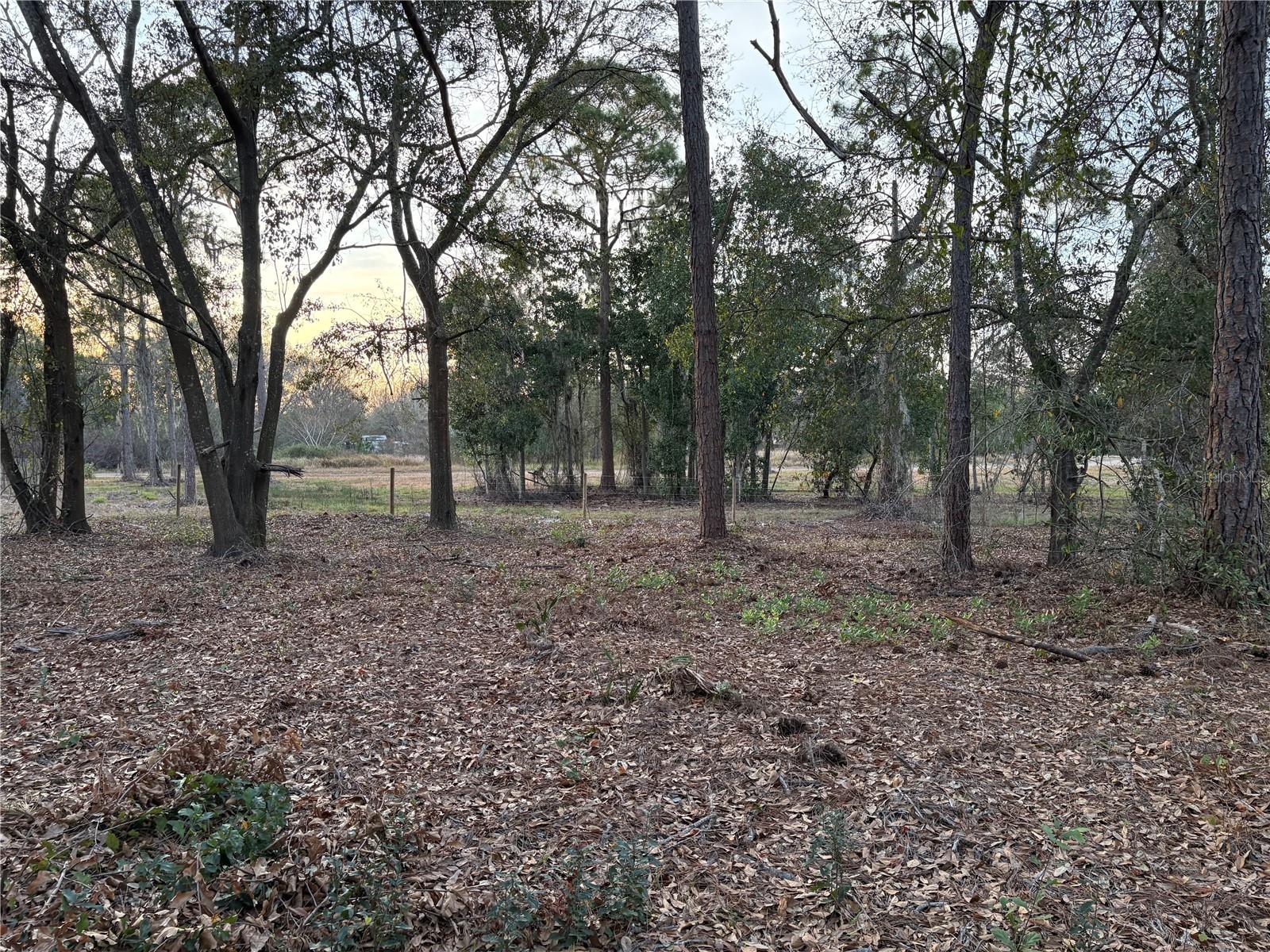 0 ALTURAS BABSON PARK CUTOFF RD #Lot 78, BARTOW, FL