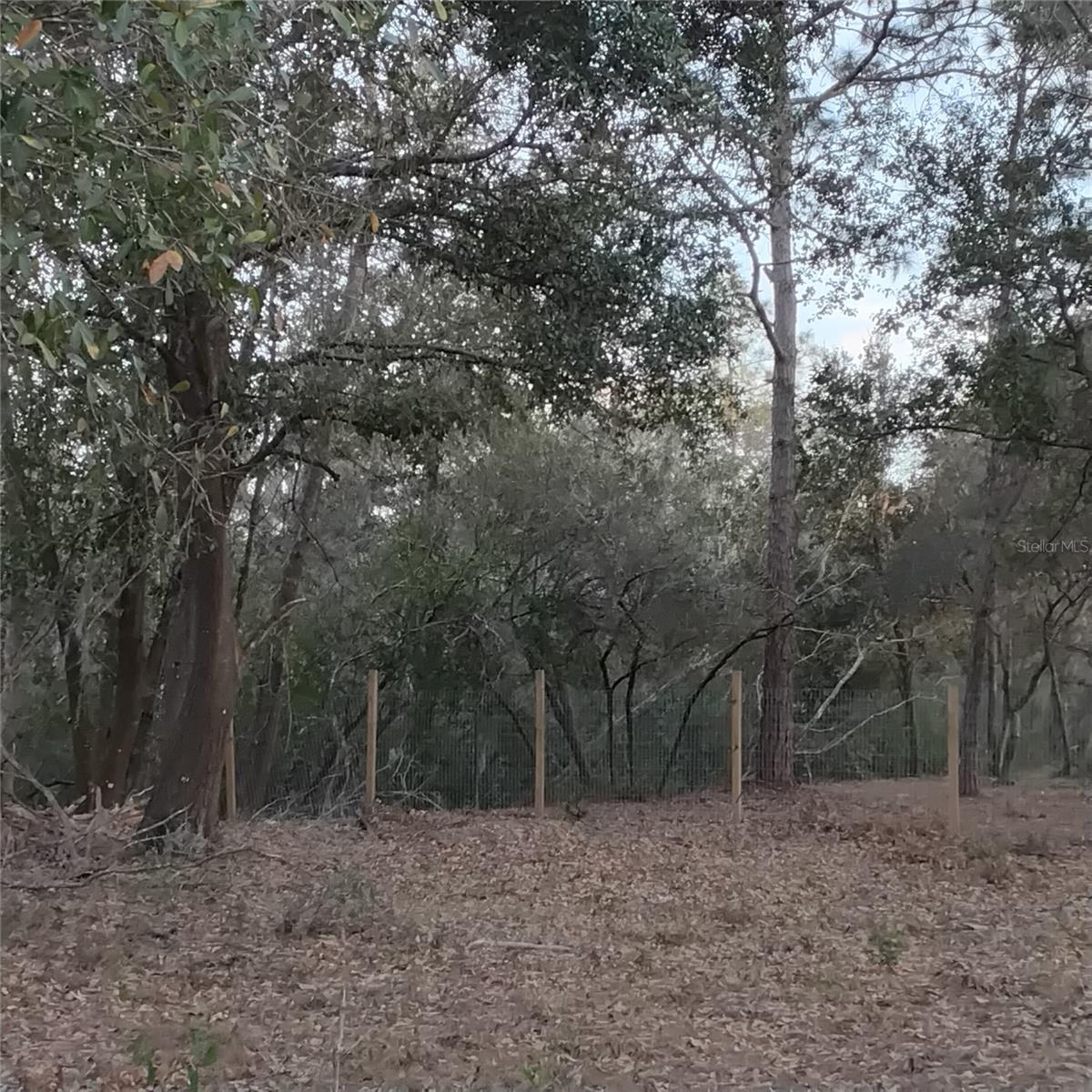 0 ALTURAS BABSON PARK CUTOFF RD #Lot 78, BARTOW, FL — photo 4