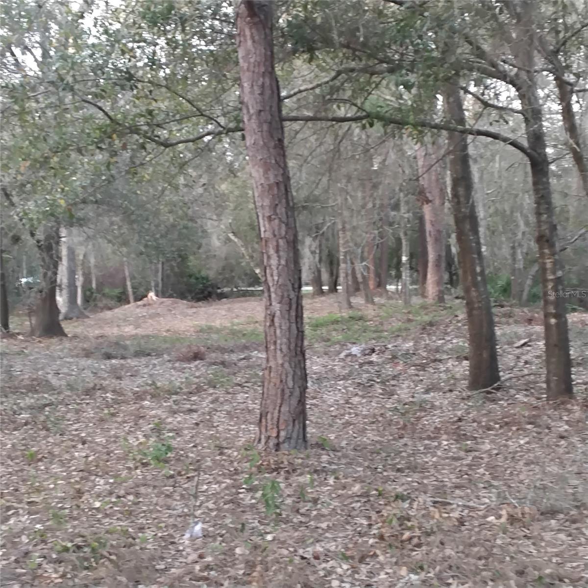 0 ALTURAS BABSON PARK CUTOFF RD #Lot 78, BARTOW, FL — photo 6
