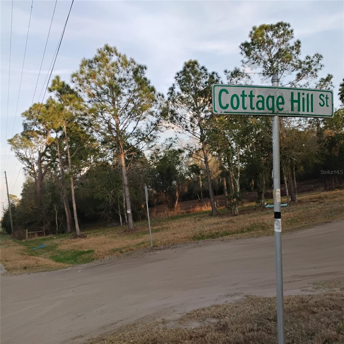 0 ALTURAS BABSON PARK CUTOFF RD #Lot 78, BARTOW, FL — photo 7