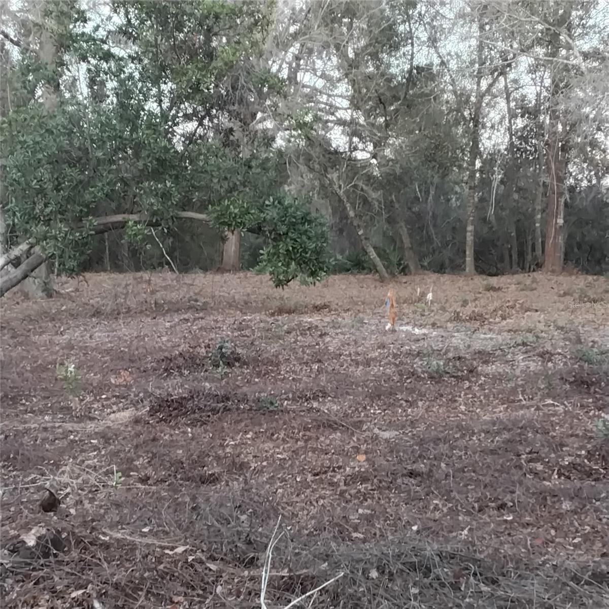 0 ALTURAS BABSON PARK CUTOFF RD #Lot 78, BARTOW, FL — photo 8