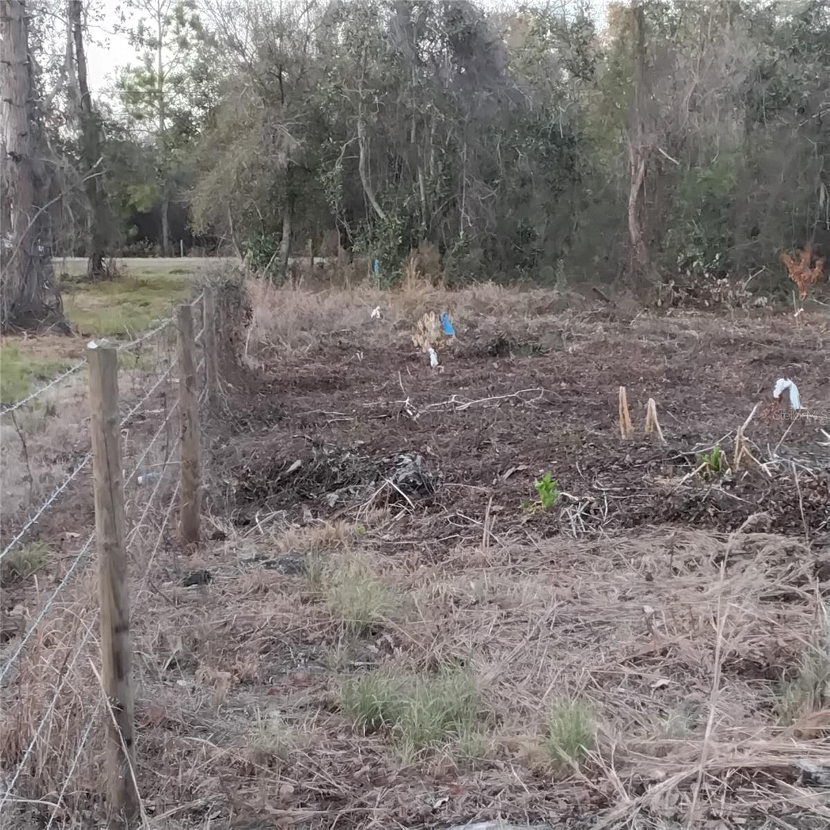 0 ALTURAS BABSON PARK CUTOFF RD #Lot 78, BARTOW, FL — photo 10