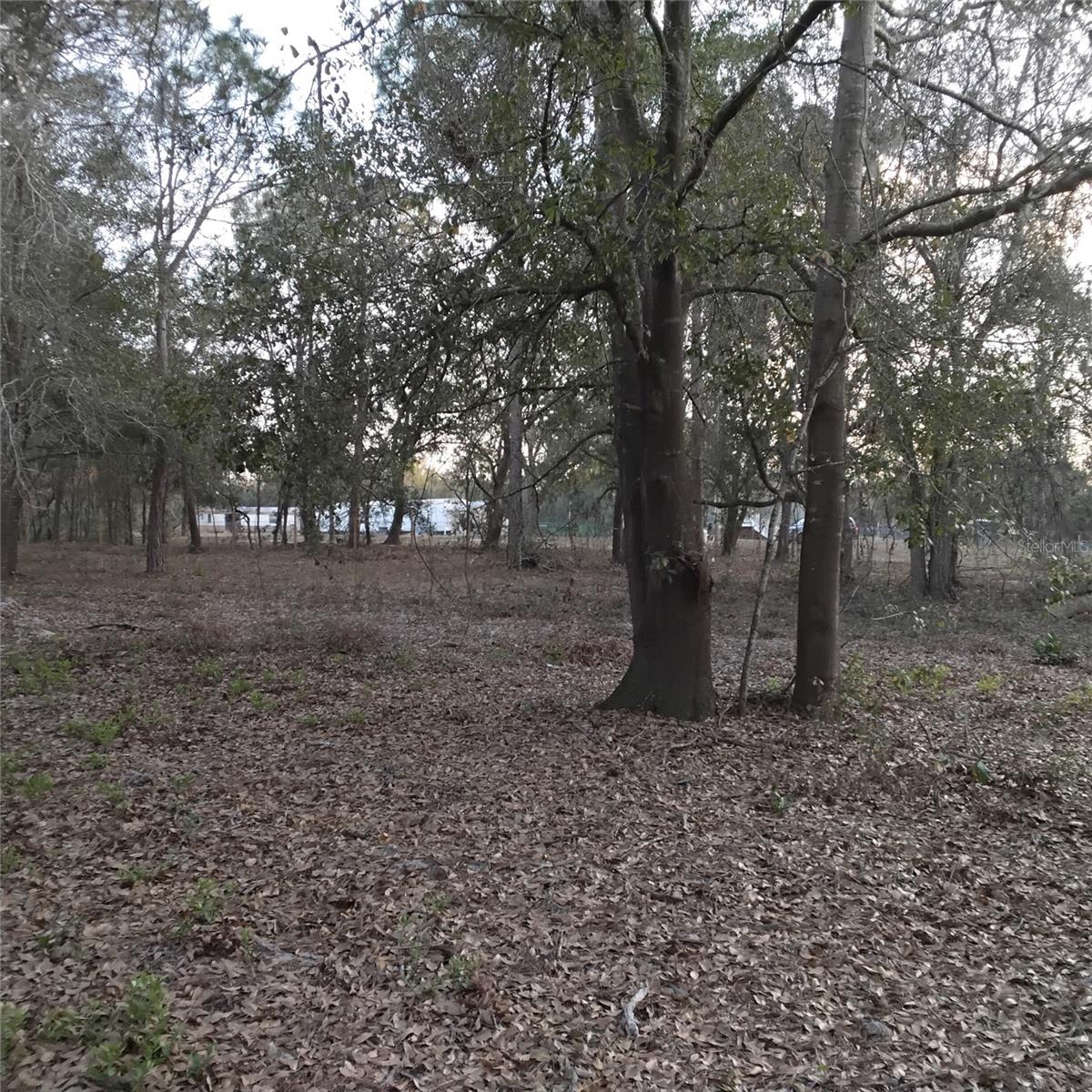 0 ALTURAS BABSON PARK CUTOFF RD #Lot 78, BARTOW, FL — photo 12
