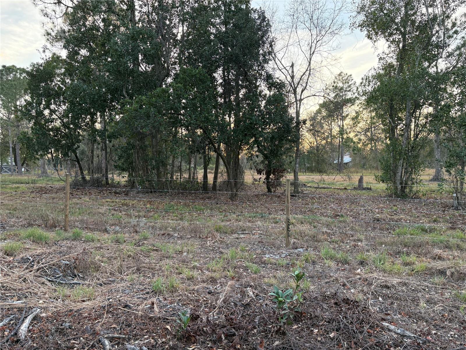 0 ALTURAS BABSON PARK CUTOFF RD #Lot 78, BARTOW, FL — photo 13