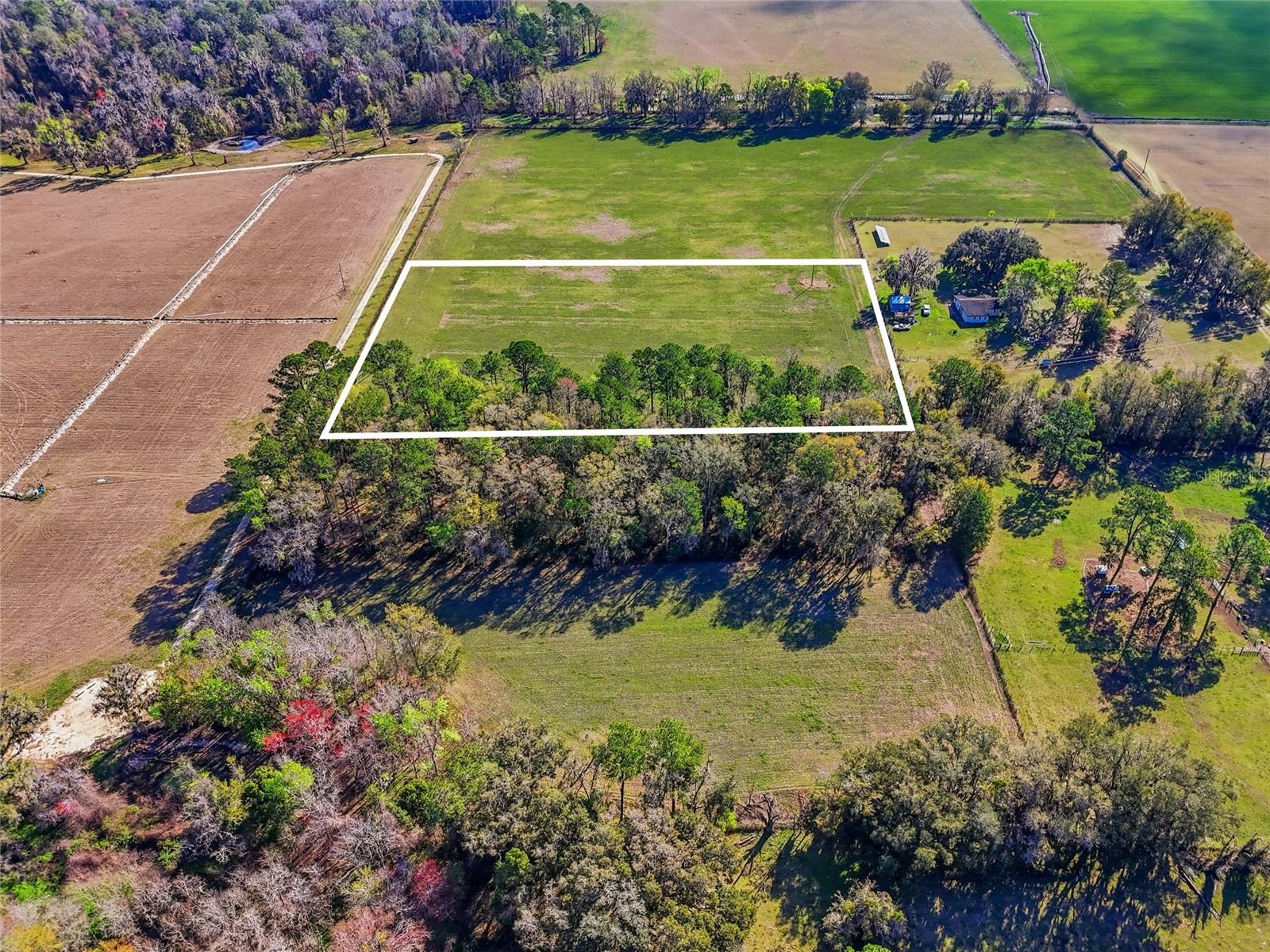 TBD NW COUNTY RD 239, ALACHUA, FL — photo 6