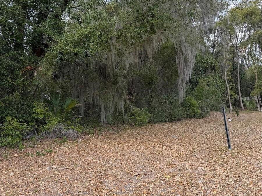 SE 65TH AVE, HAWTHORNE, FL