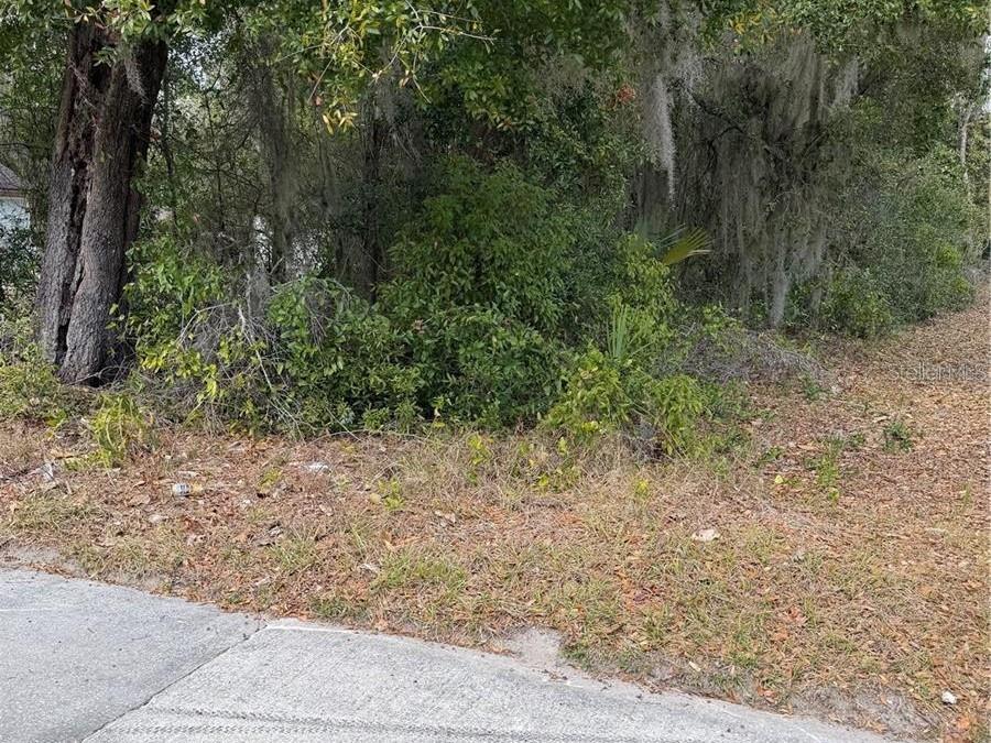 SE 65TH AVE, HAWTHORNE, FL — photo 3