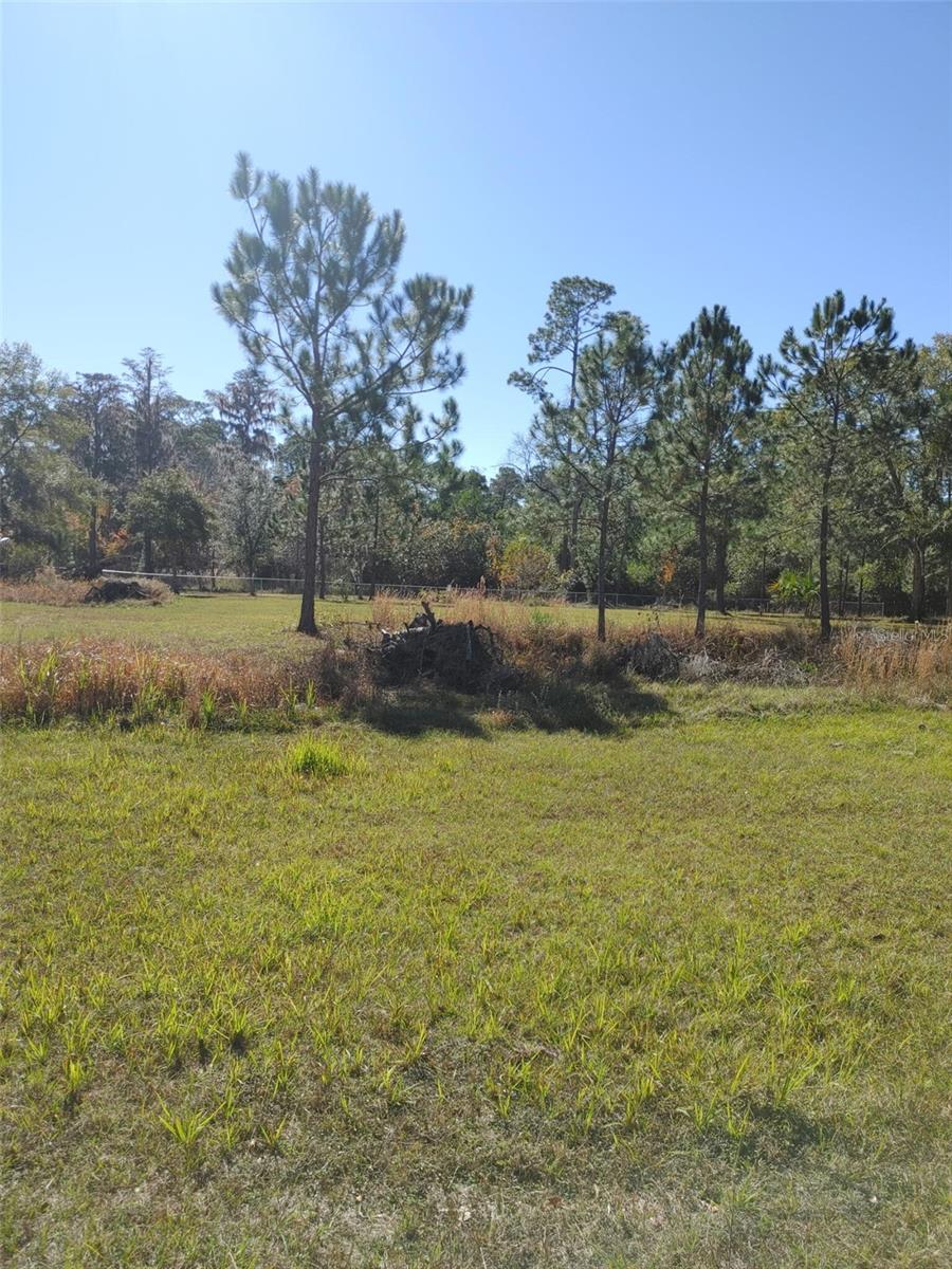 1838 NE 145TH AVENUE RD, SILVER SPRINGS, FL — photo 6