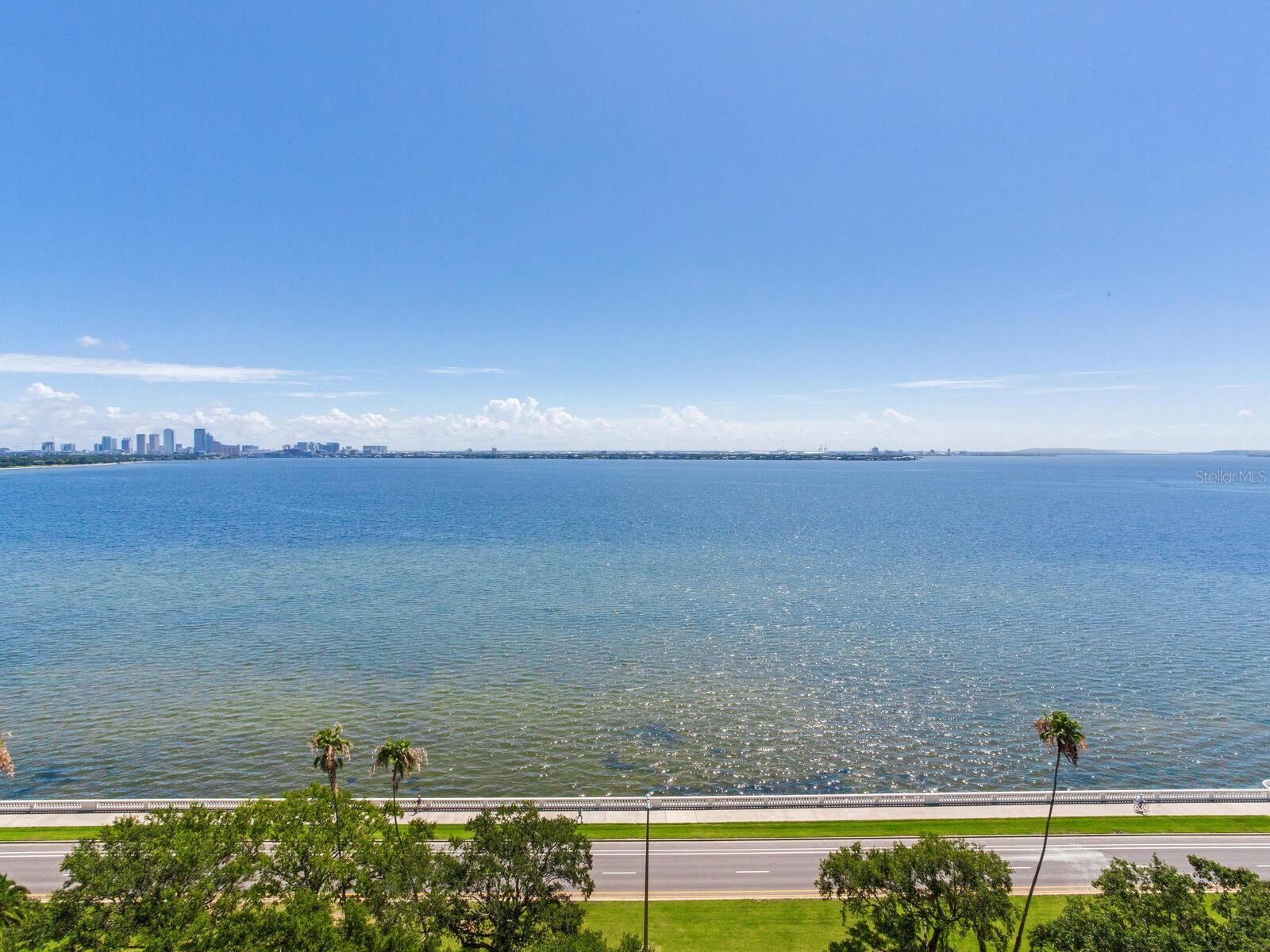 3507 BAYSHORE BLVD #1202, TAMPA, FL — photo 60