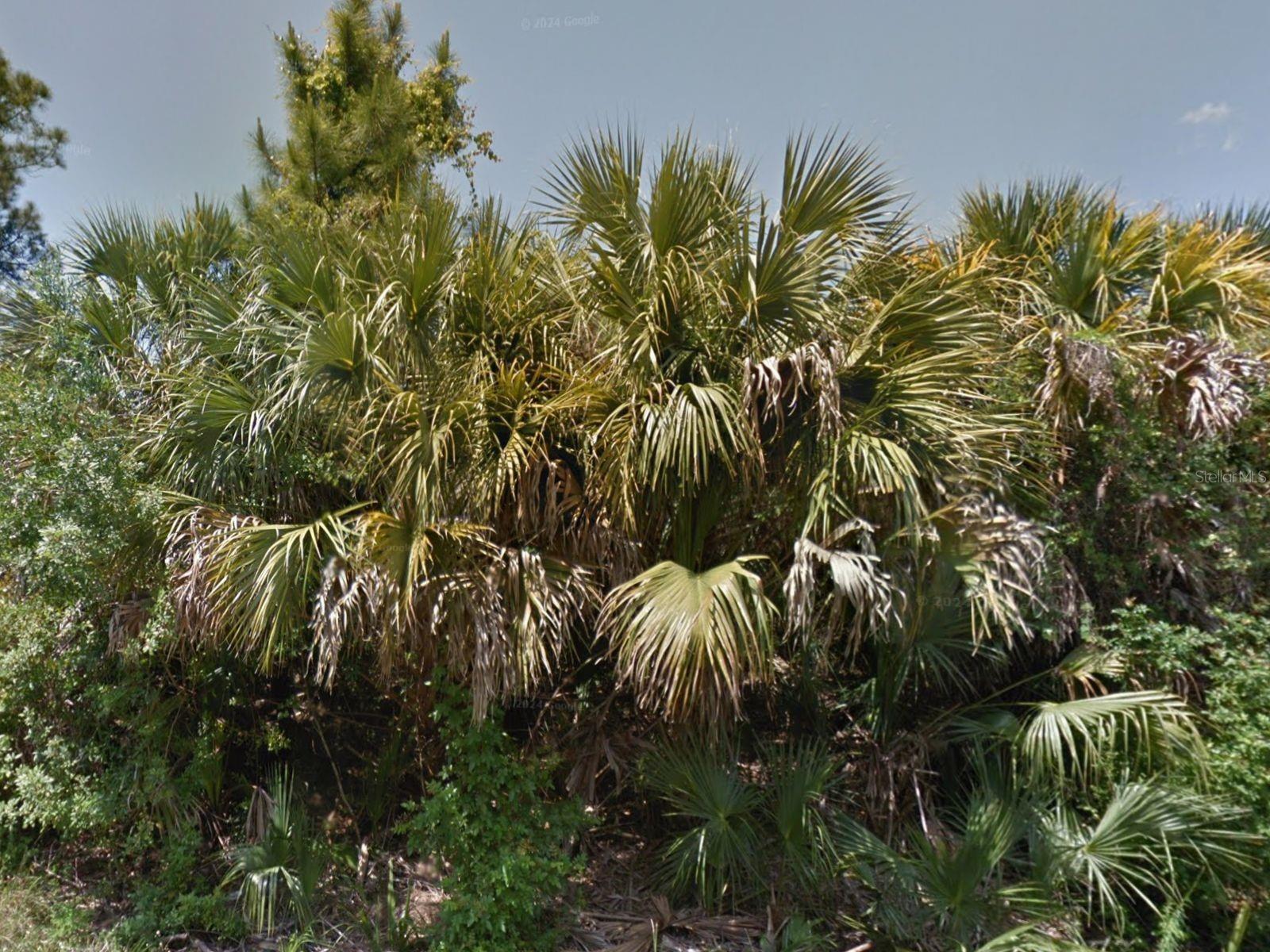 0 RAVEN ST, NORTH PORT, FL — photo 3