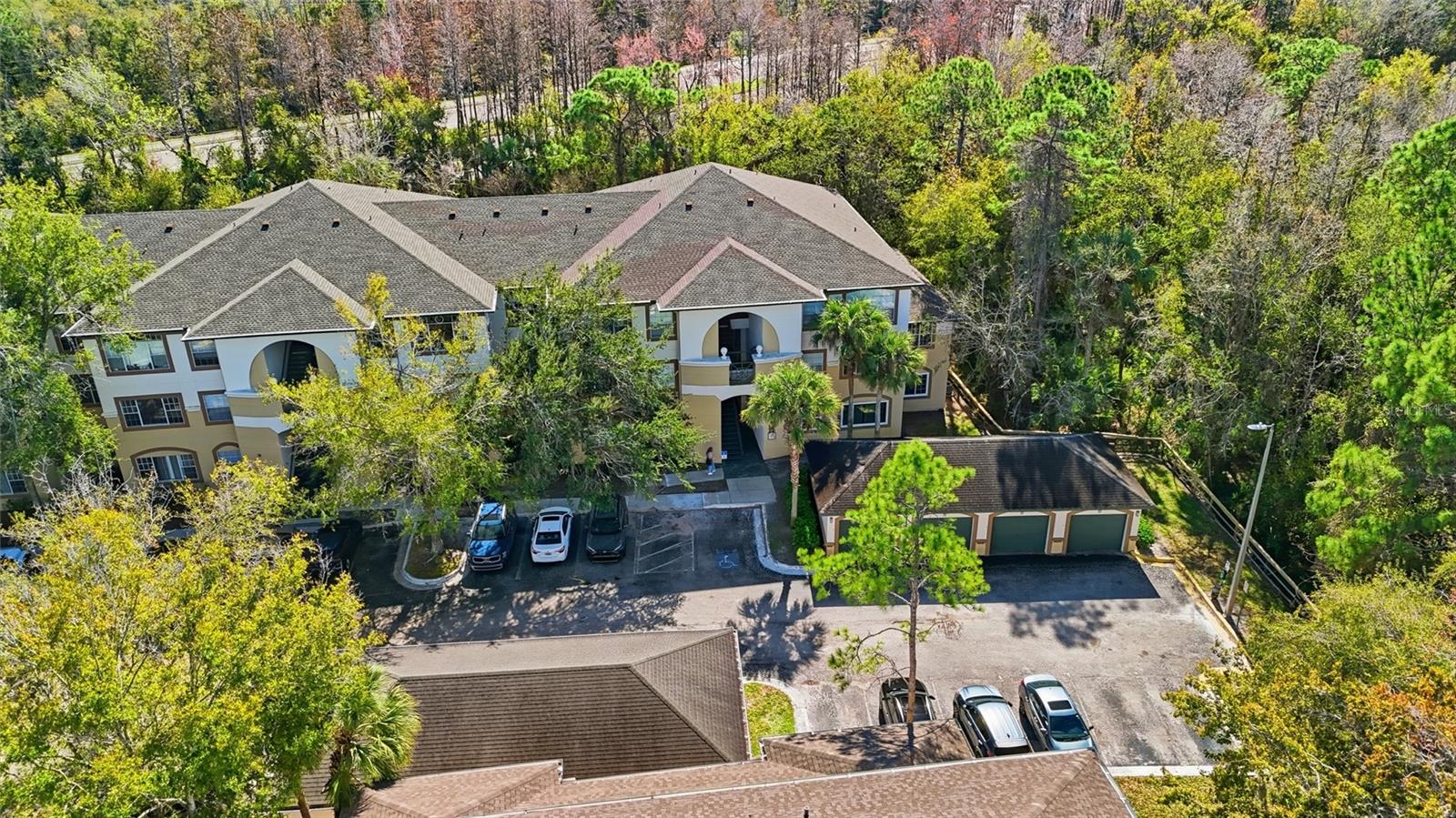 17106 CARRINGTON PARK DR #623, TAMPA, FL