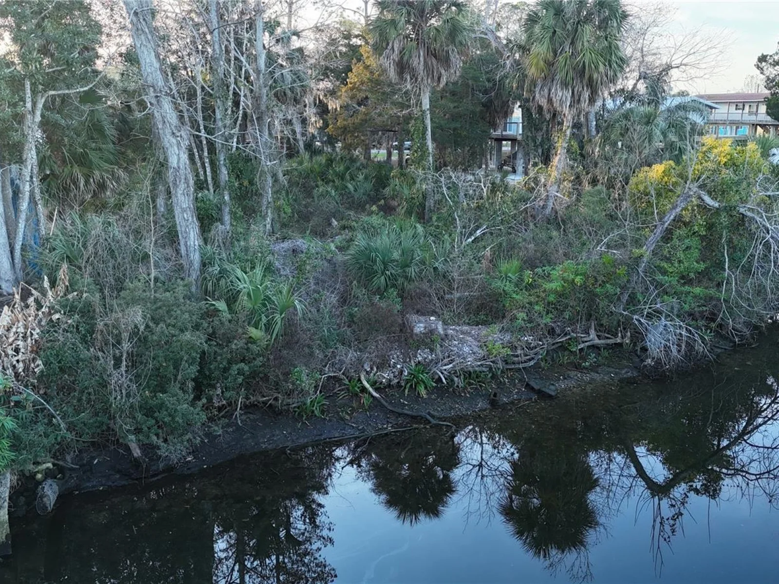 12 SE 241ST ST, SUWANNEE, FL — photo 10