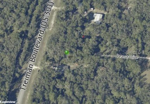 7466 TREIMAN BLVD, WEBSTER, FL