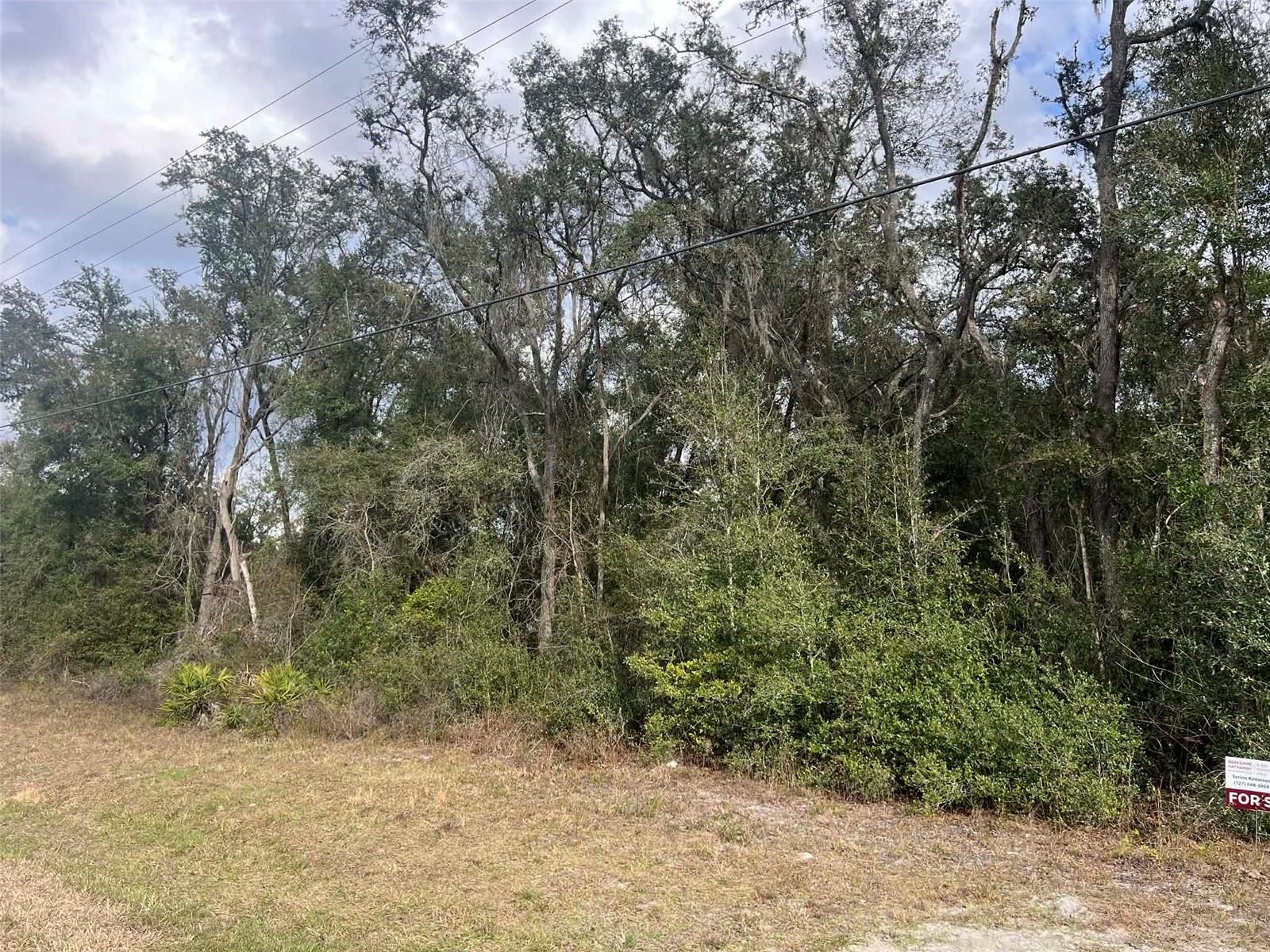 7466 TREIMAN BLVD, WEBSTER, FL — photo 2