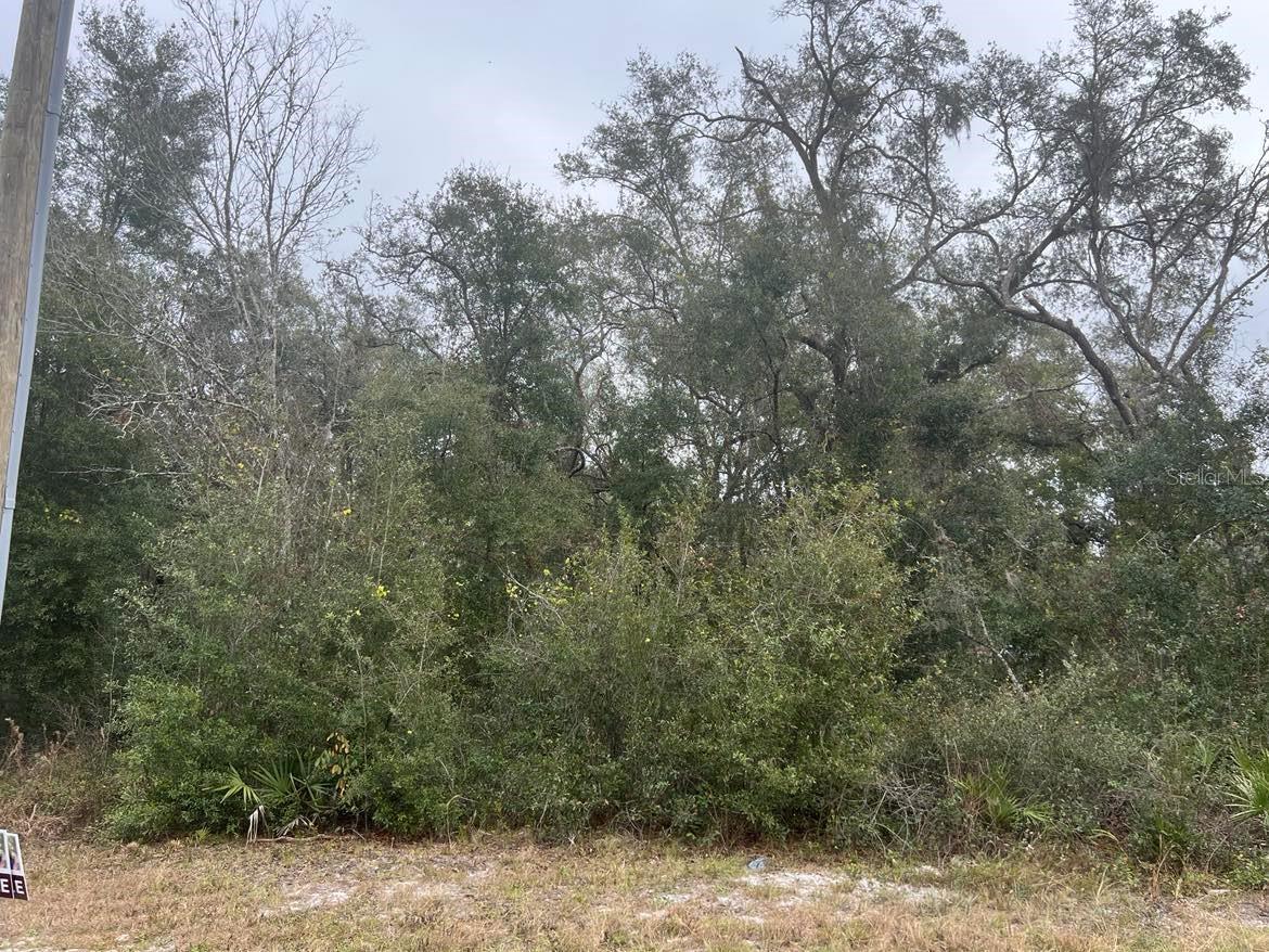 7466 TREIMAN BLVD, WEBSTER, FL — photo 3
