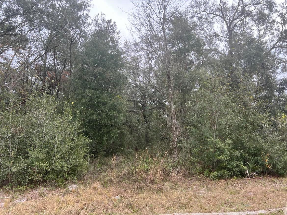 7466 TREIMAN BLVD, WEBSTER, FL — photo 5