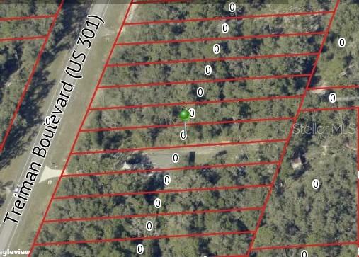 7466 TREIMAN BLVD, WEBSTER, FL — photo 6