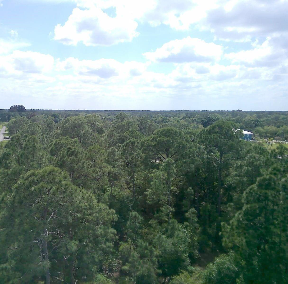 000 NE 189TH LN #Lot 19, CITRA, FL