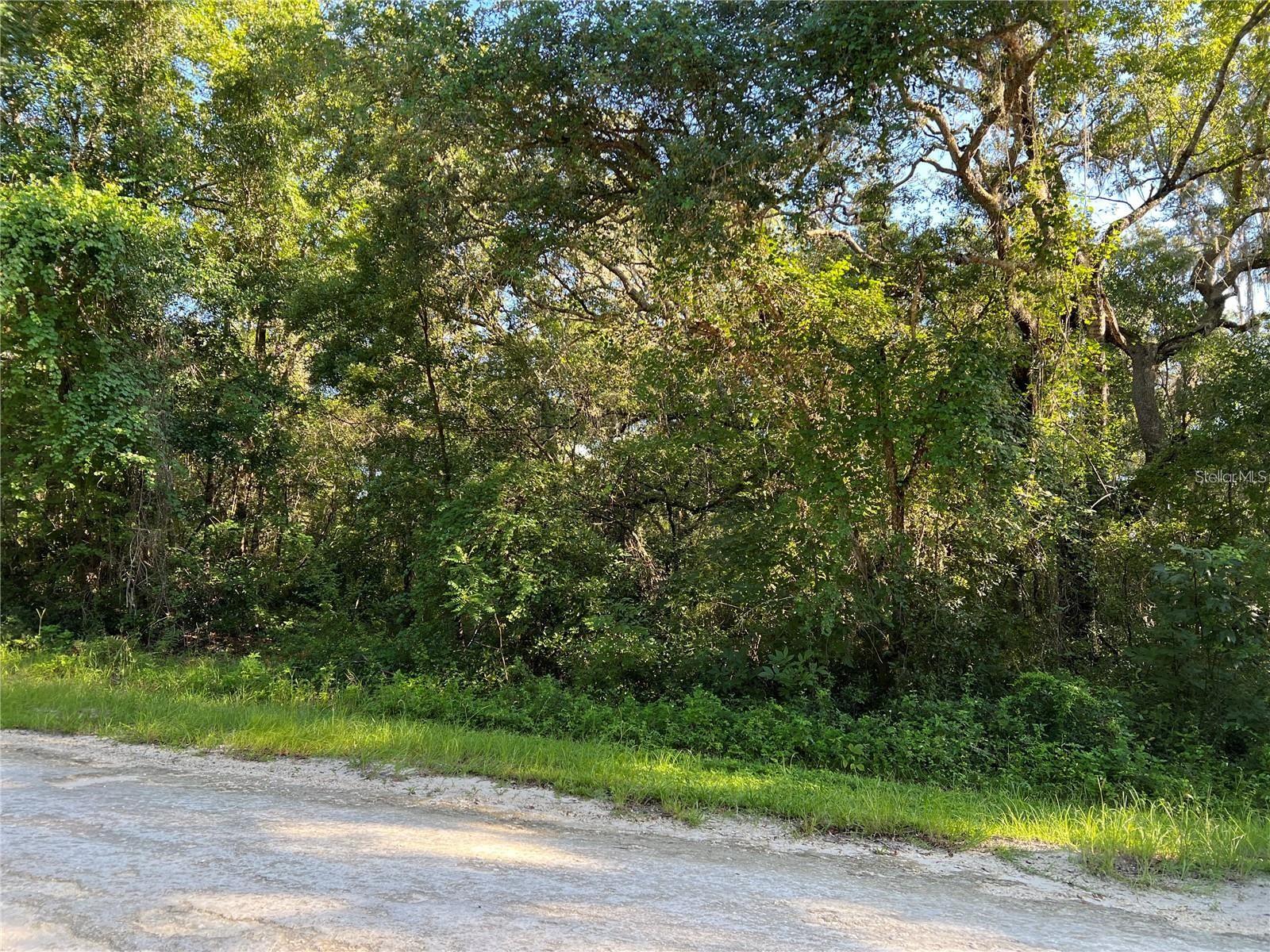 34085 ARROWROCK ST, WEBSTER, FL