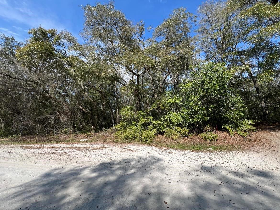 34085 ARROWROCK ST, WEBSTER, FL — photo 2
