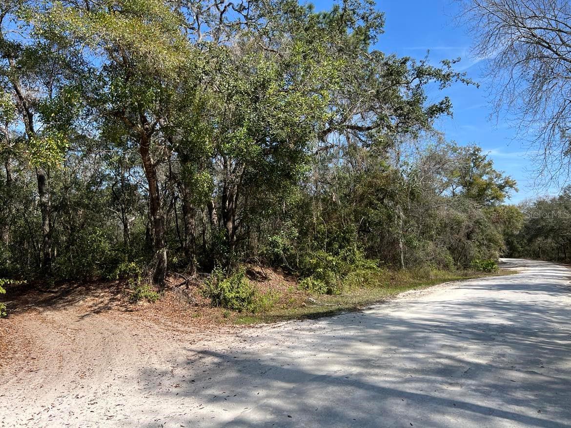 34085 ARROWROCK ST, WEBSTER, FL — photo 4