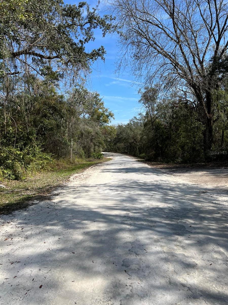 34085 ARROWROCK ST, WEBSTER, FL — photo 7